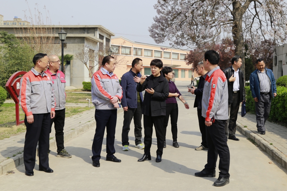 焦作公司焦作市副市长闫小杏至焦作公司调研